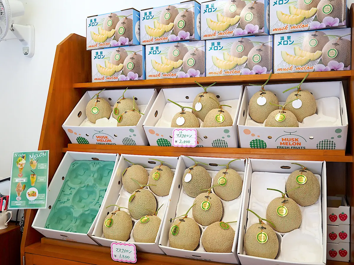 日研農園のマスクメロン
