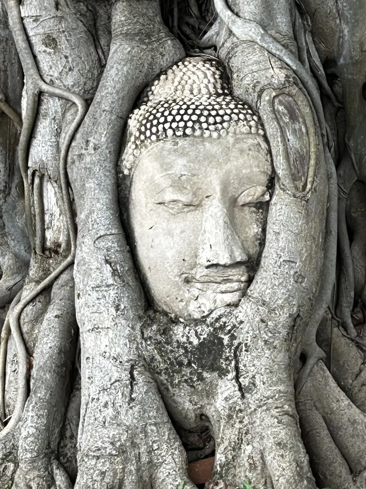 アユタヤ遺跡　行き方　回り方　世界遺産　Ayutthaya 　ซากโบราณสถานอยุธยา