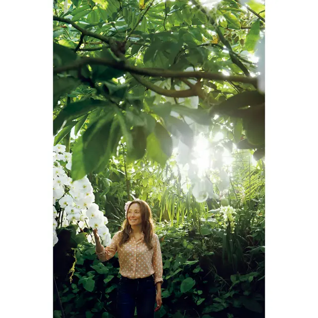 有元葉子　高知