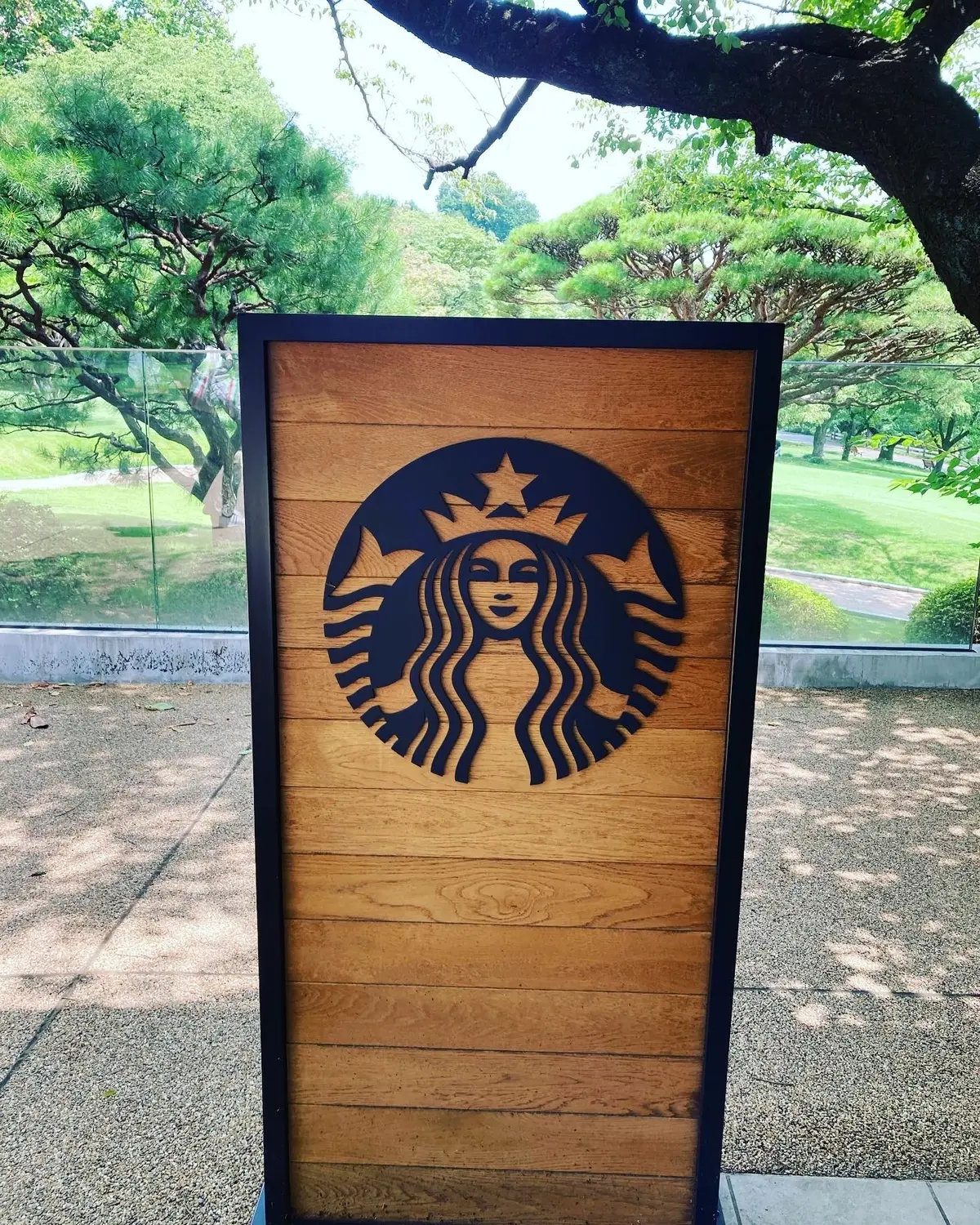 都内屈指のパワースポット！新宿御苑でリフの画像_6