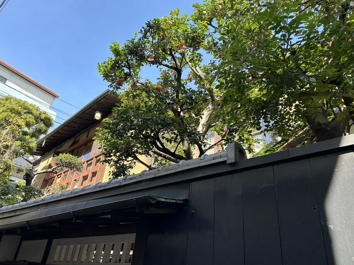 Jマダムで神楽坂フレンチランチ🎵の画像_2