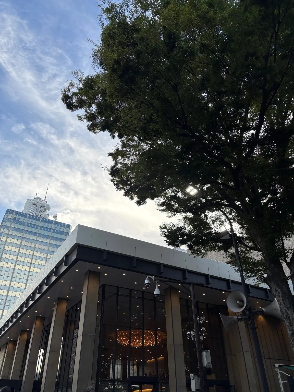 南野陽子　40周年コンサート　NHKホール