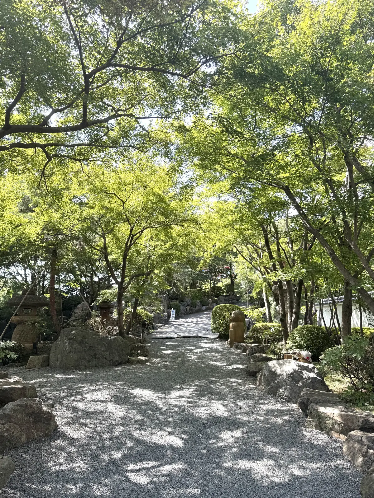 床もみじで有名な宝徳寺へ♪秋を待つ心地良の画像_7