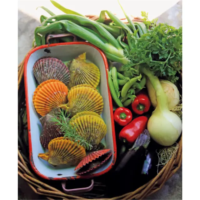 有元葉子　高知