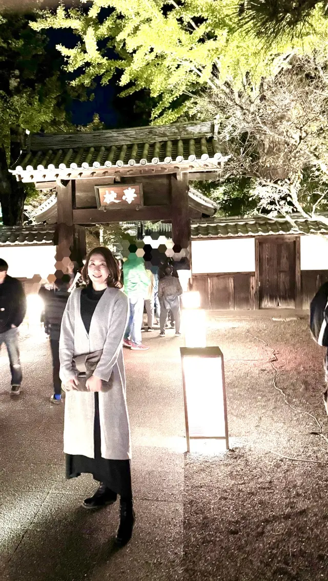 幻想的な雰囲気に包まれた灯りイベントの画像_8