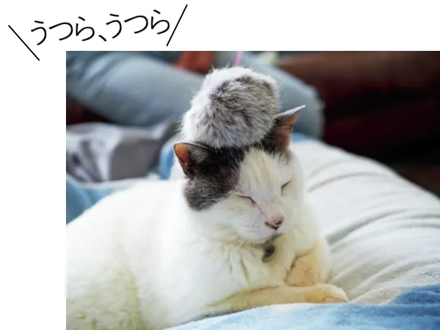 おみやげのおもちゃを頭にのせたまま夢の世界へ