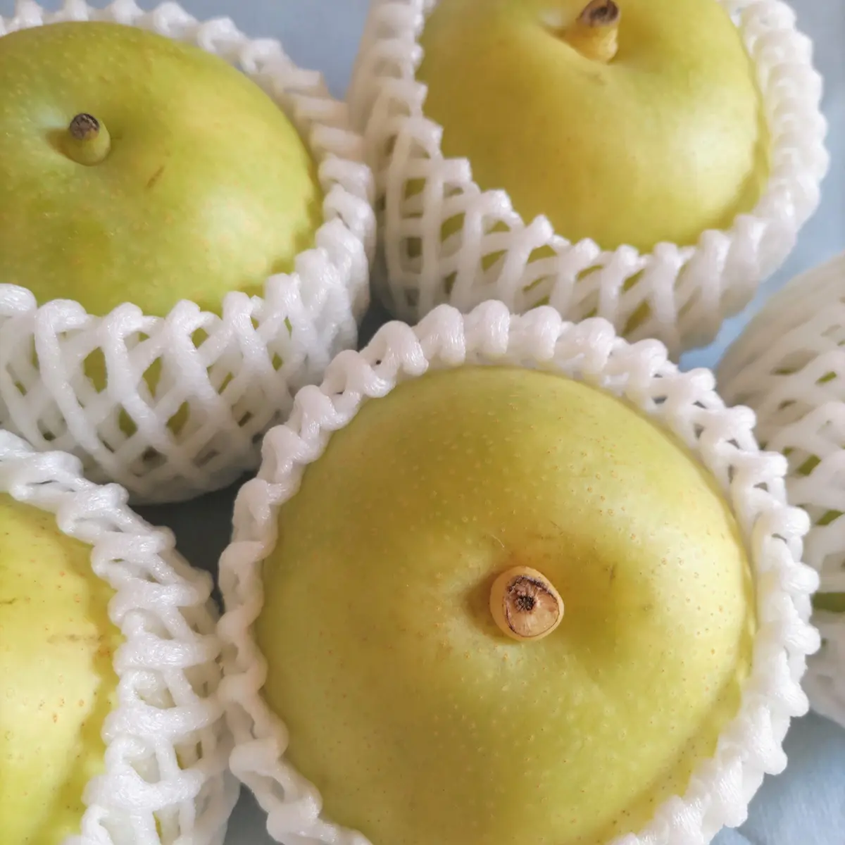 『二十世紀梨』の画像_7