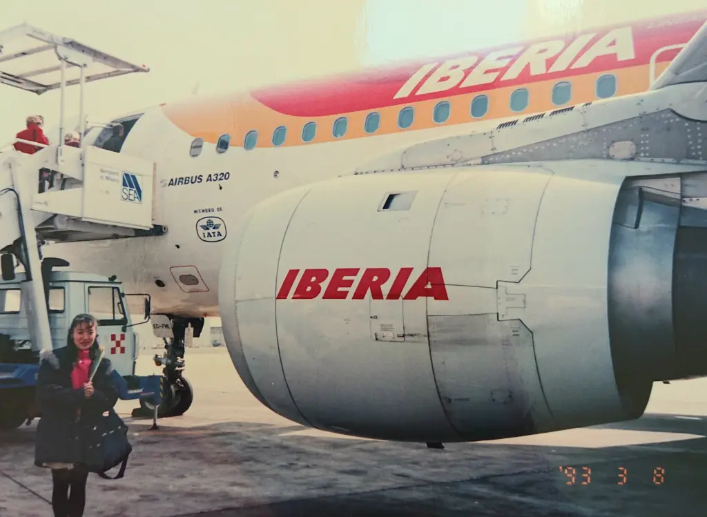 今年のミモザと30年前の想い出の画像_7