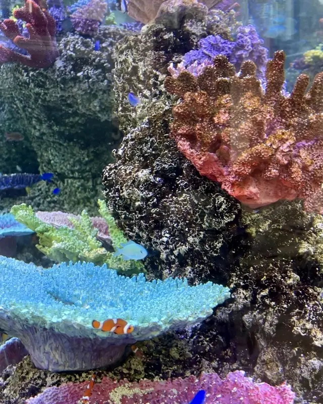 秋の東京おすすめお出かけスポットの画像_2