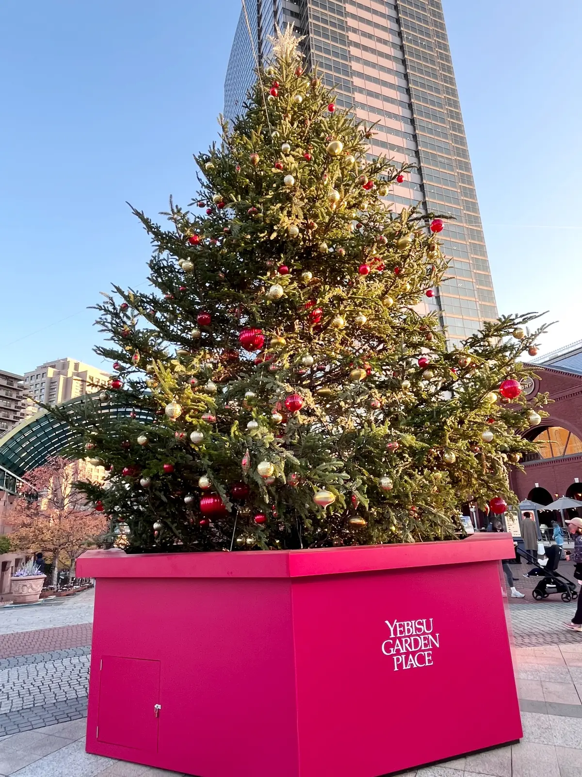 恵比寿でキラキラツリー観賞・夜はLiveの画像_13