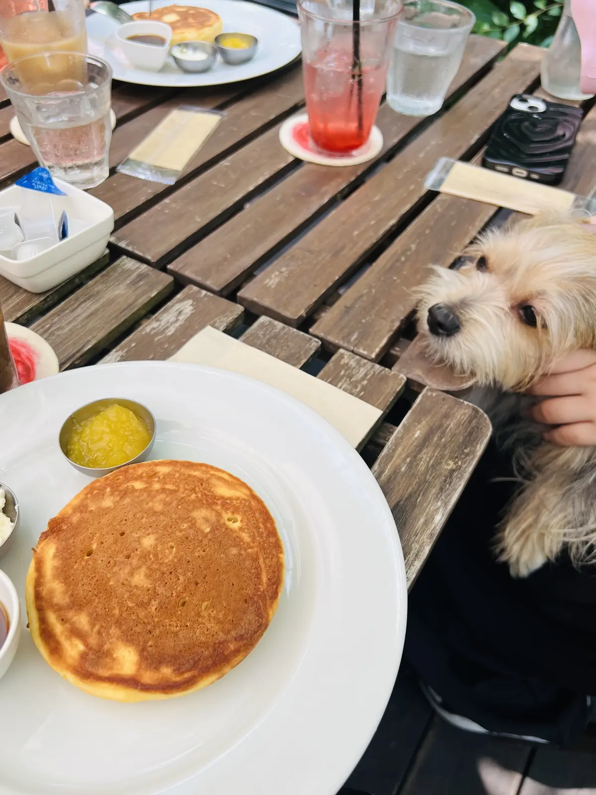 美味しいランチを楽しみました！