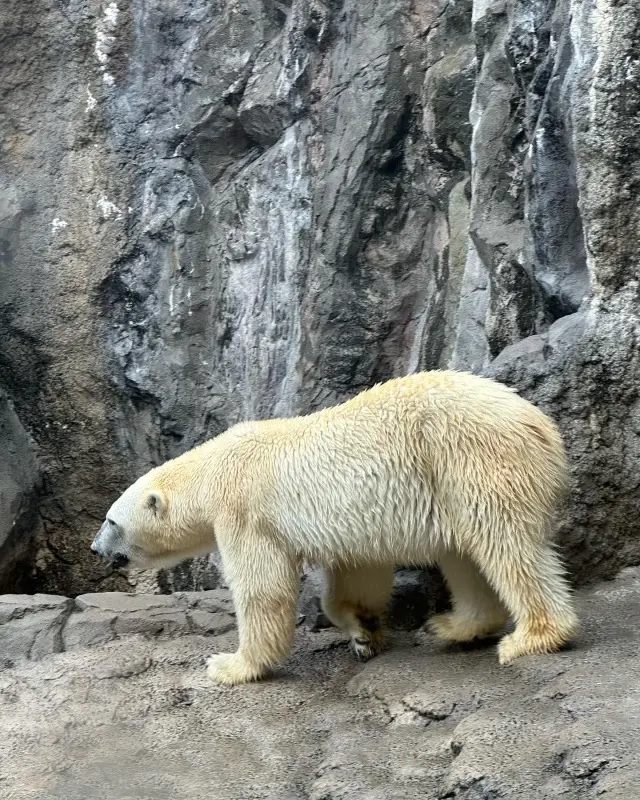 北海道旅行2日目の画像_2