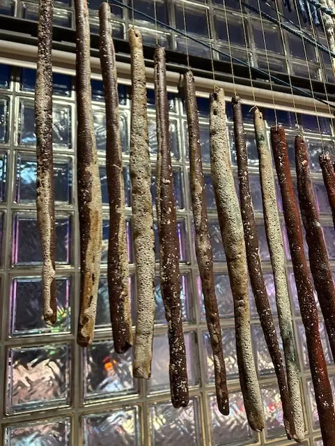 メゾンエルメスにて、アートとエコロジーのの画像_8