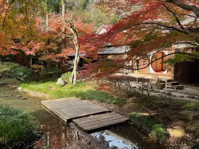 明月院　鎌倉　紅葉　紅葉狩り　jマダム　non_no