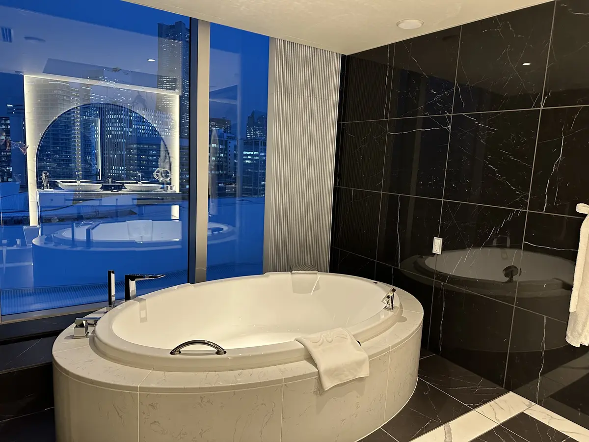 私がMarisol美女組時代から拝見しての画像_8