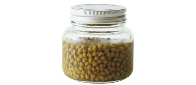 自家製の薬味があると味変に便利。これは山椒の実の日本酒漬け。