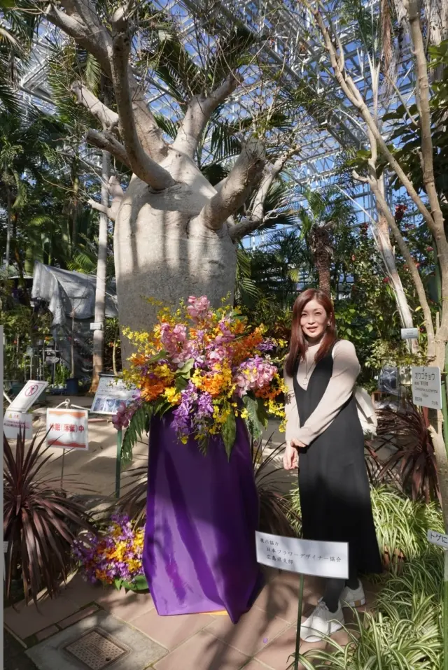 梅も桜も胡蝶蘭まで…花々に囲まれ春の訪れの画像_4