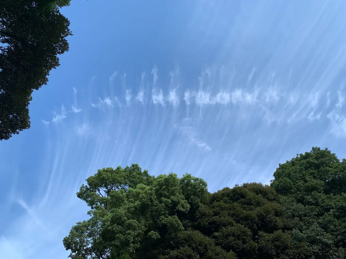 芸術の秋の画像_4