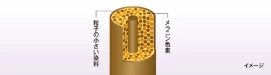 ウエラトーン ツープラスワン クリームタイプの特徴