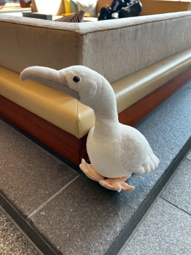 ホテルインディゴ犬山有楽苑で過ごす、癒しの画像_17