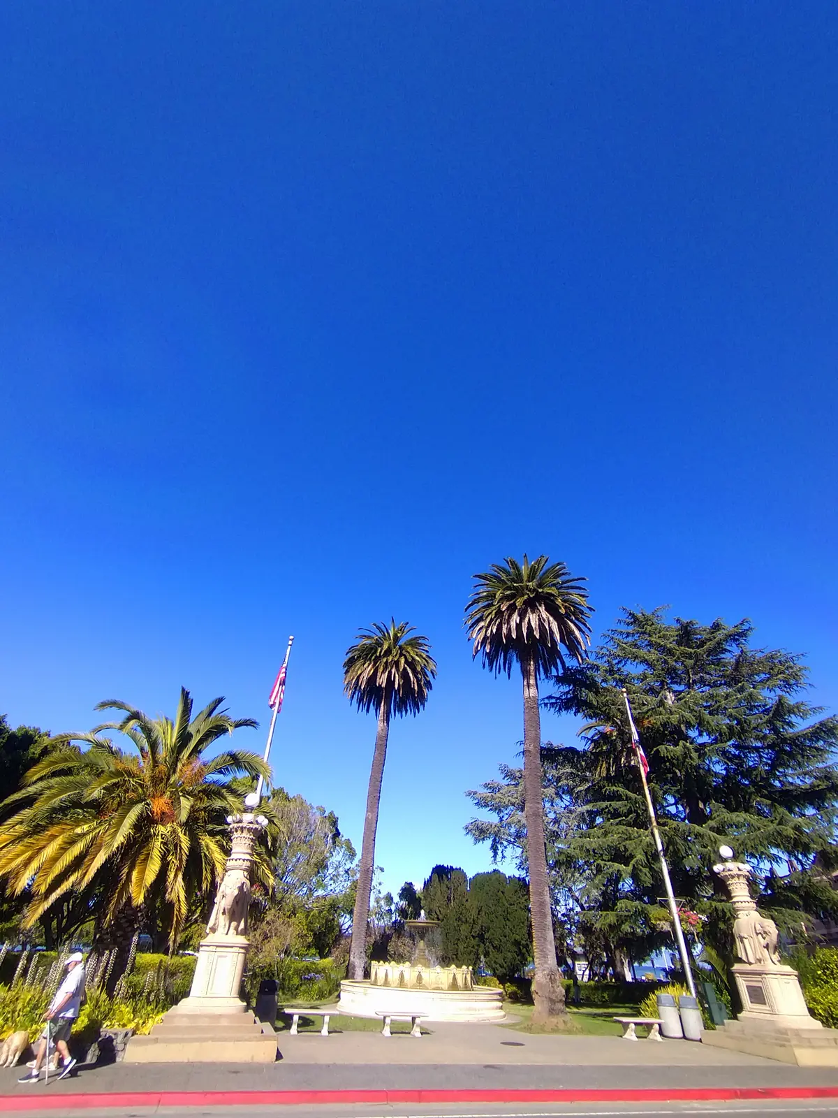 真夏の贅沢森林浴♡ミュアウッズ国定公園　の画像_13