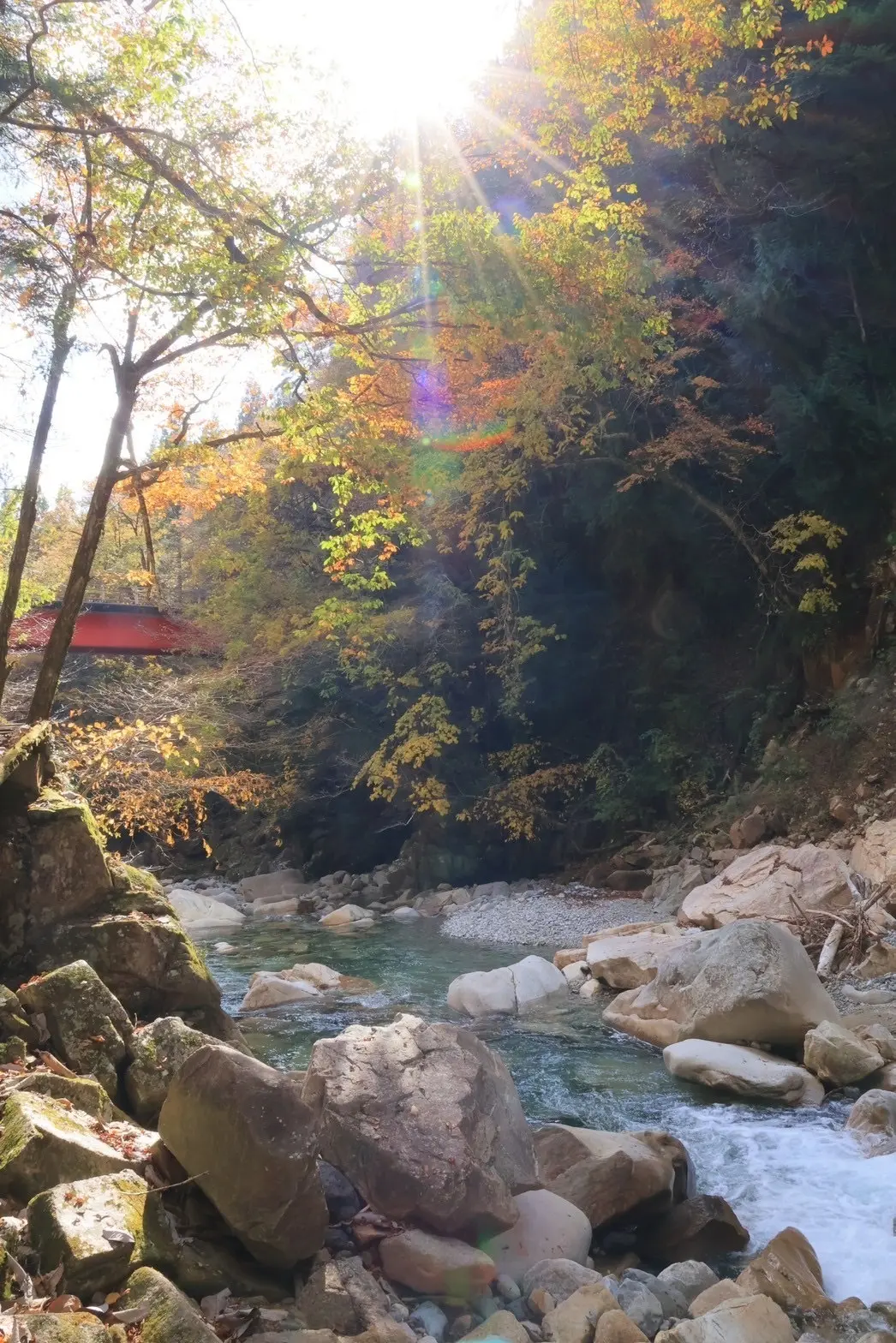 初めての登山。トレッキングを初体験してきの画像_1