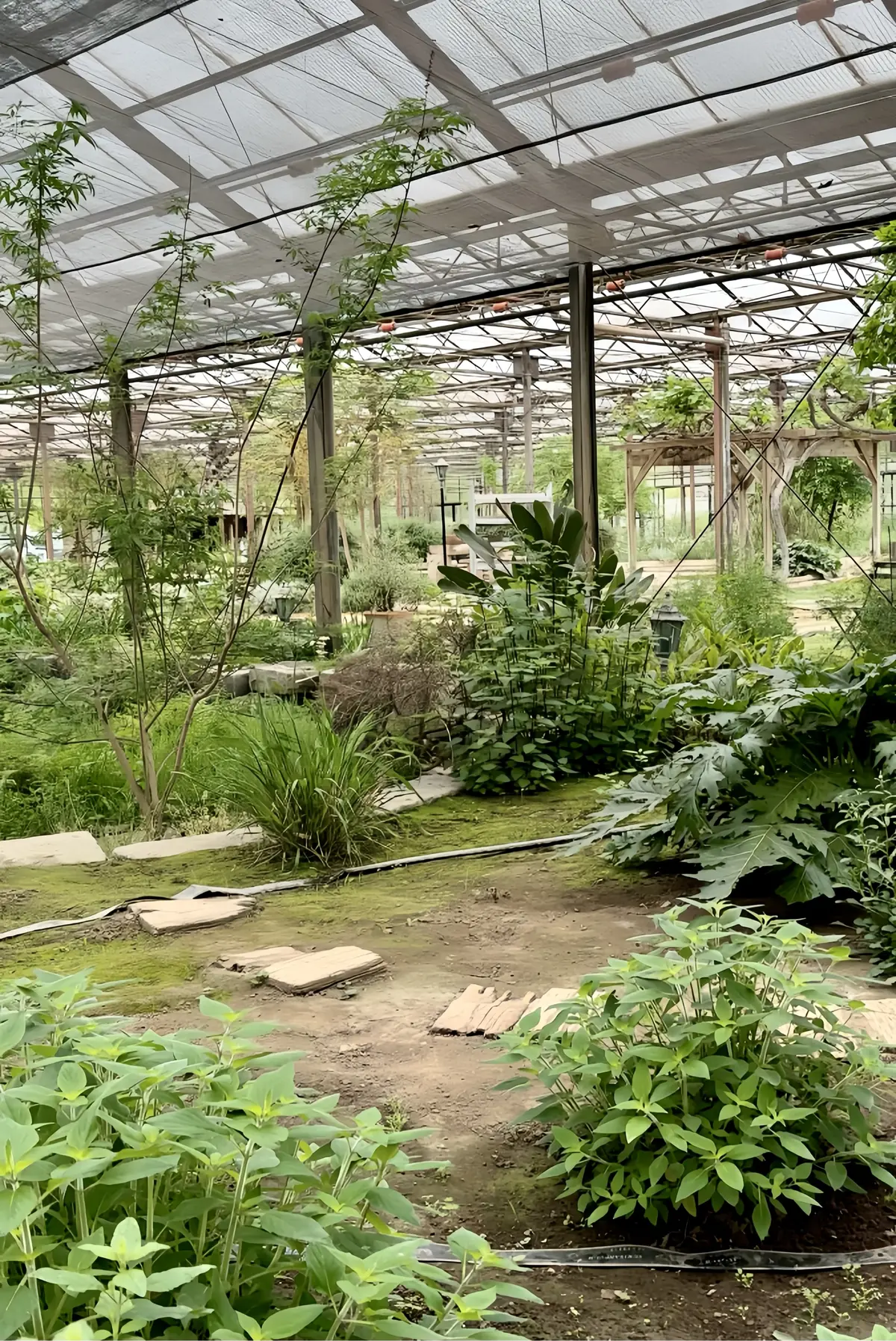 ハーブガーデンで過ごす癒しの時間♡千葉にの画像_27