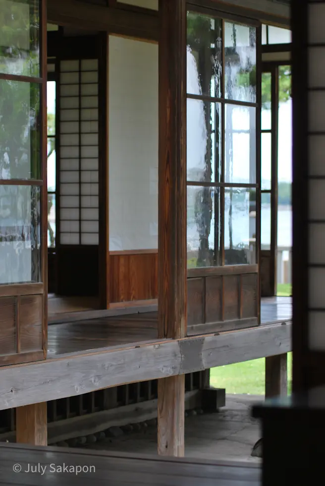 【さかぽんの冒険】七夕☆松ごしに望む海岸の画像_20