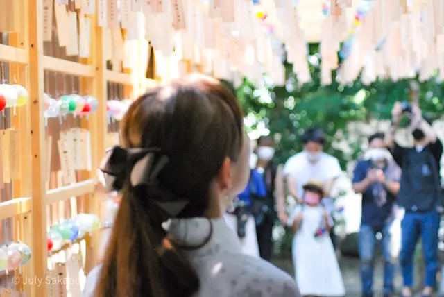 【さかぽんの冒険】風鈴の音と風に癒されての画像_5