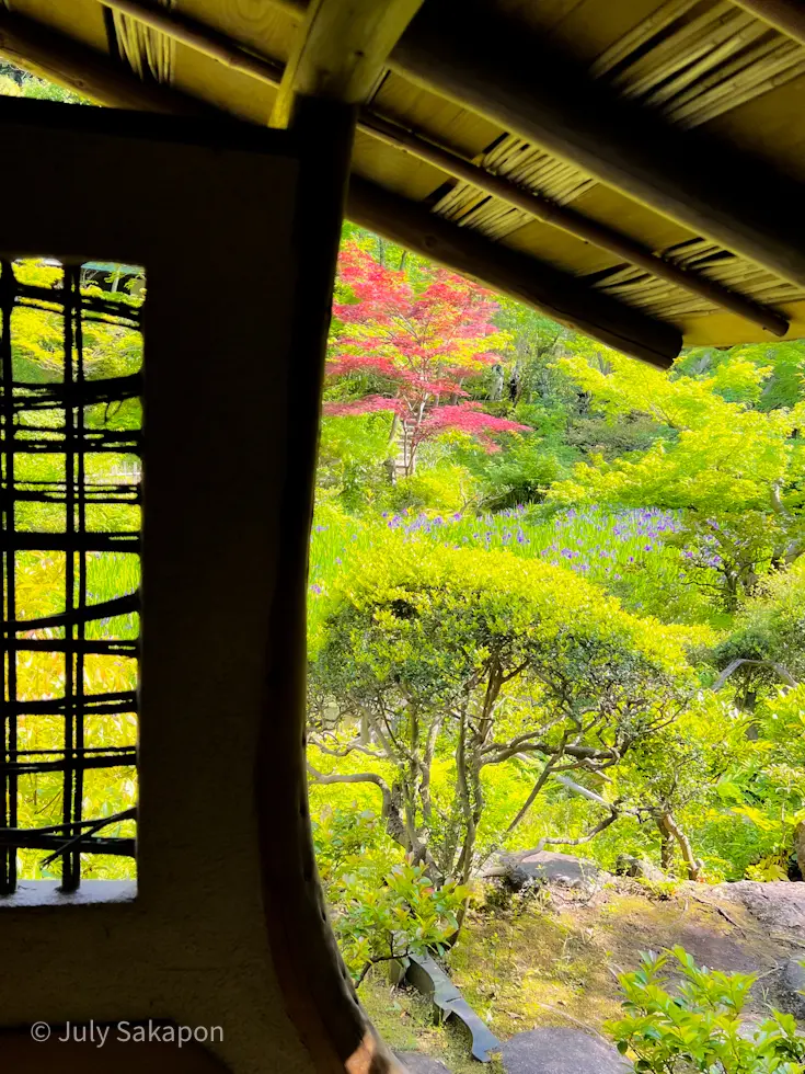 一礼に全てを表す【根津美術館】@表参道の画像_5