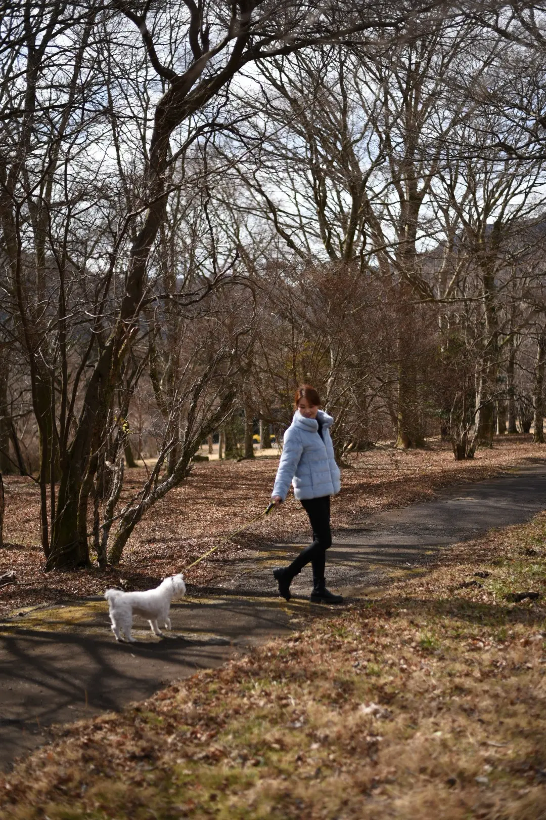 箱根神社へ新年のご挨拶⛩️の画像_12