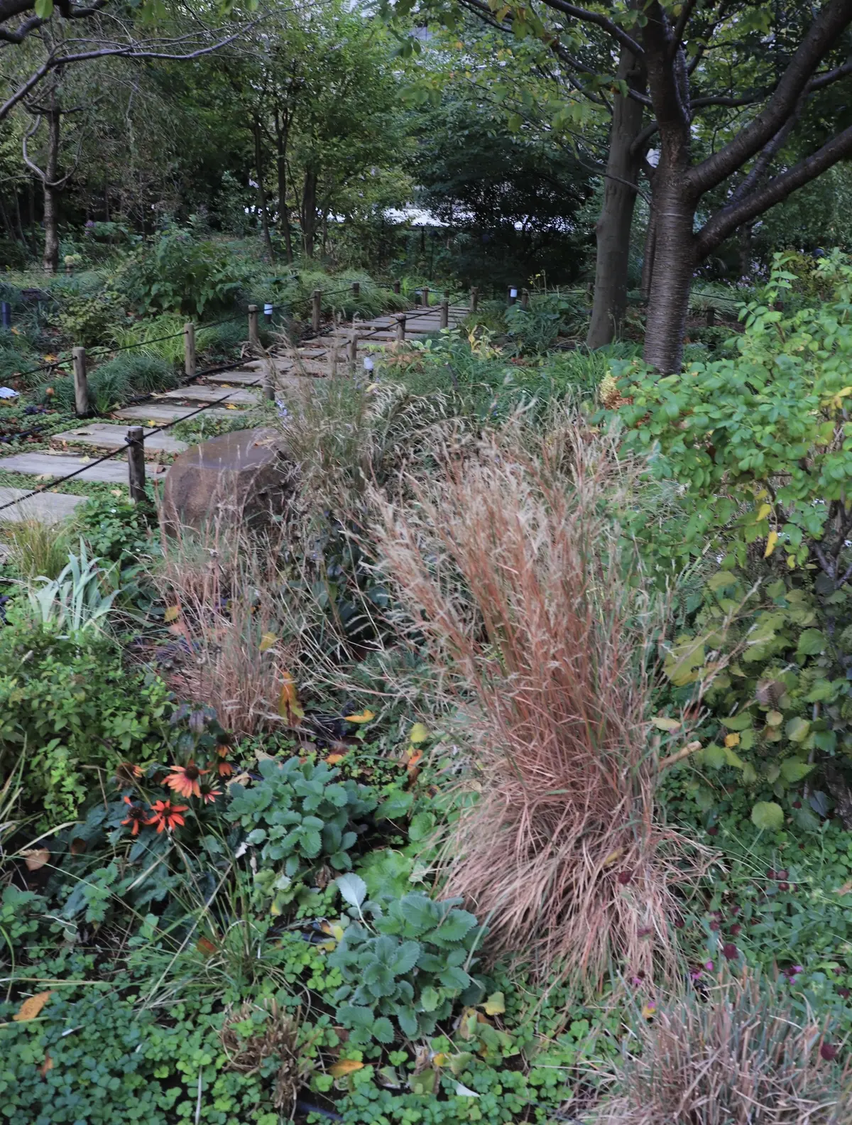 東京ガーデンテラス紀尾井町　Naturalistic Garden  ナチュラリスティック・ガーデン