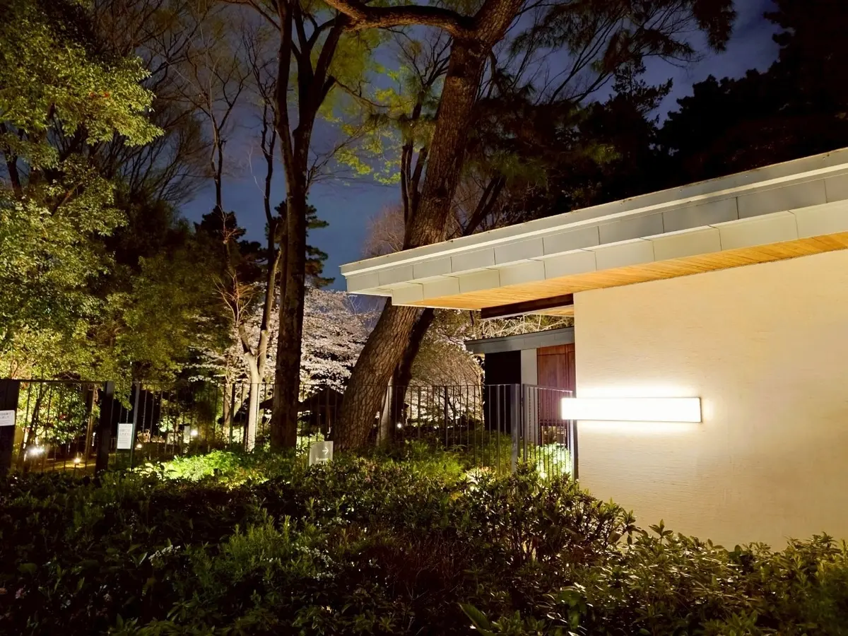 TEIEN Restaurant comodo