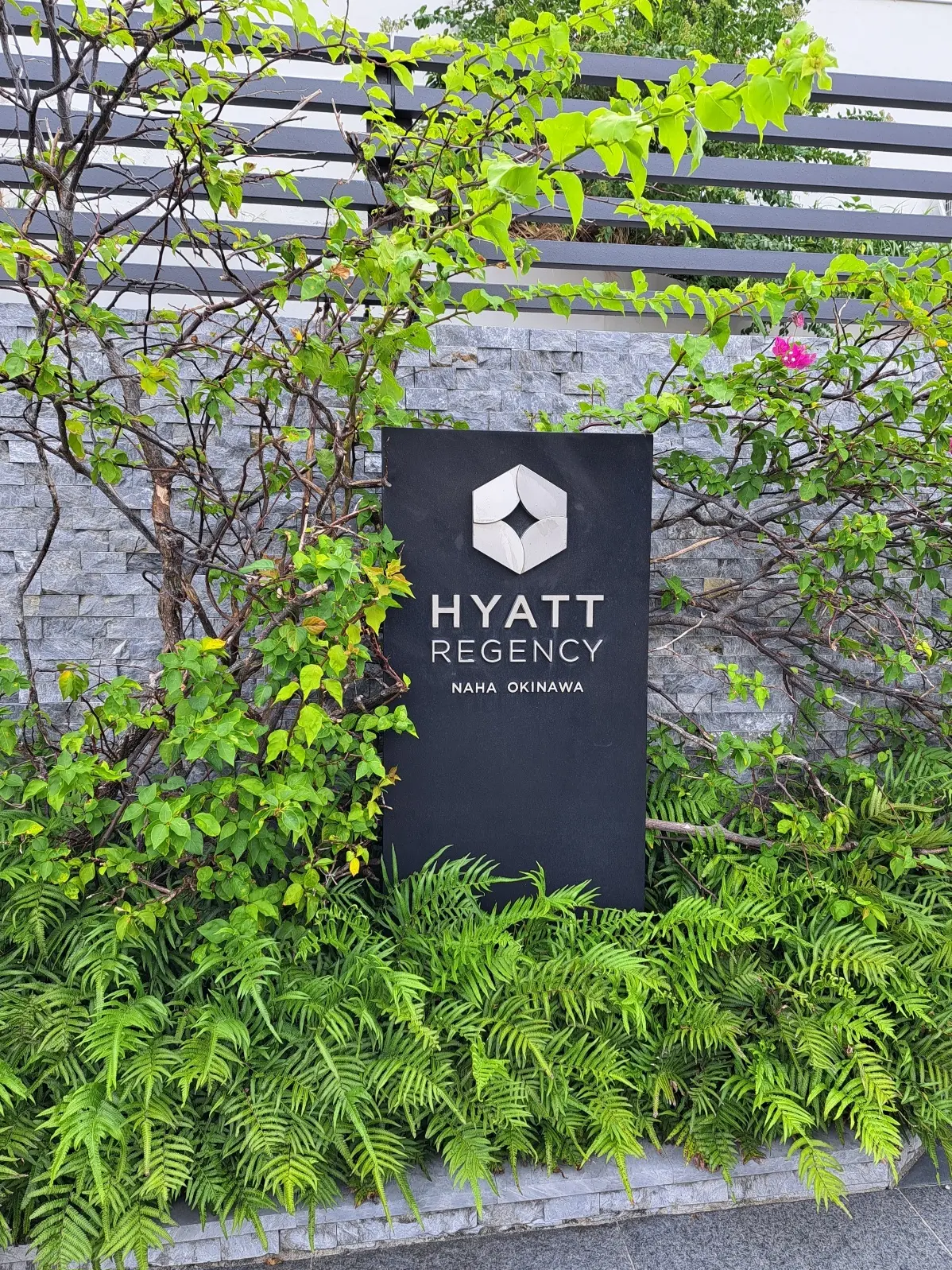 旅の締め括りはクラブラウンジでゆったりとの画像_1