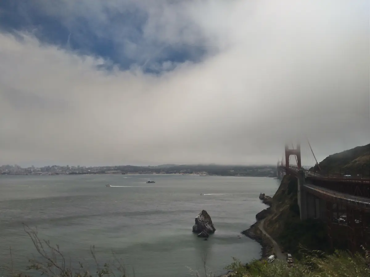 真夏の贅沢森林浴♡ミュアウッズ国定公園　の画像_3