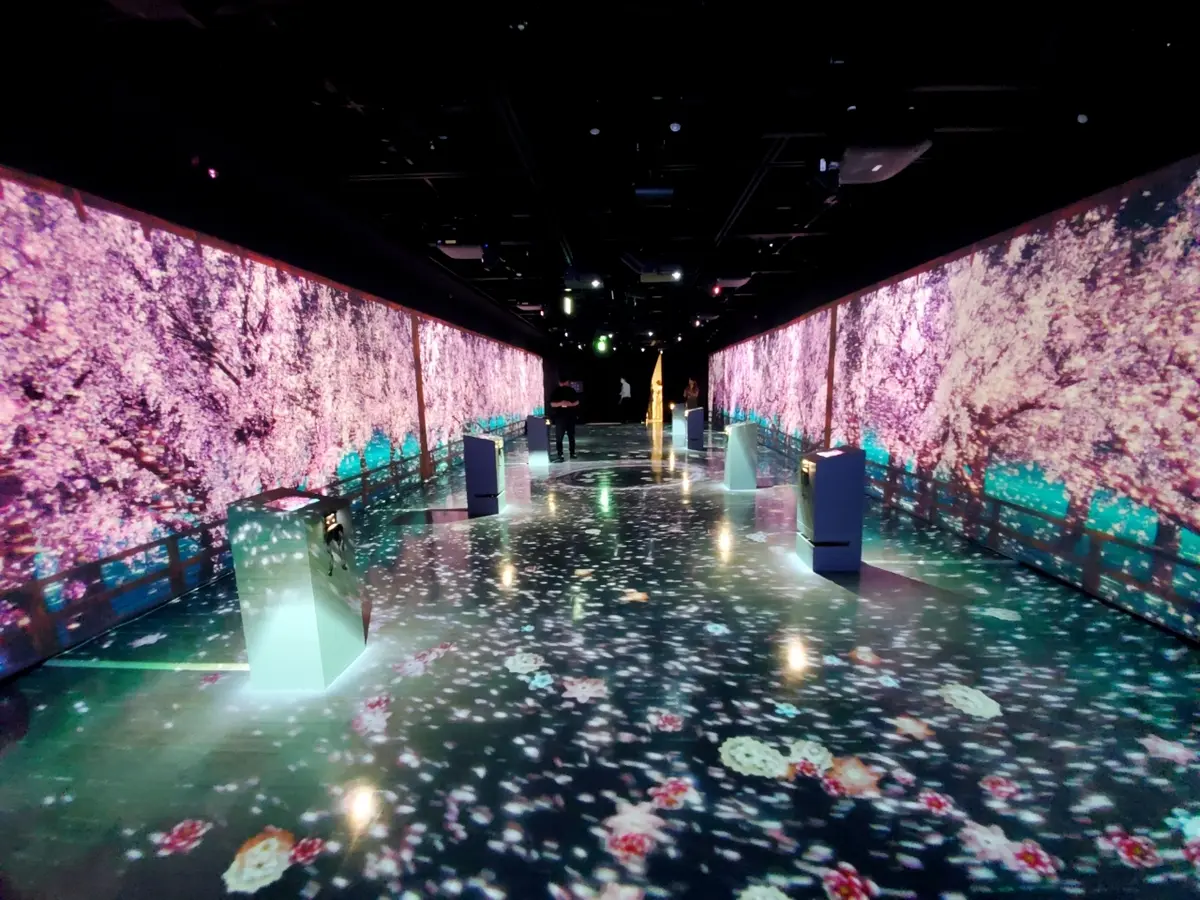 デジタルアートのお花見を体験の画像_2