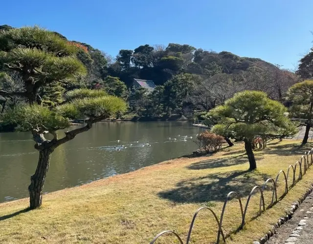 三渓園の画像_7