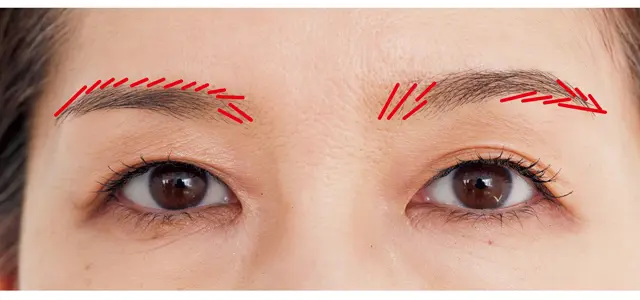 【根本さんの眉設計図】