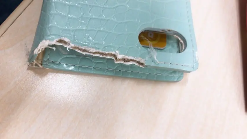 うさぎとの暮らし。の画像_5