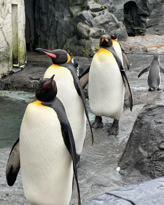 北海道旅行2日目の画像_4