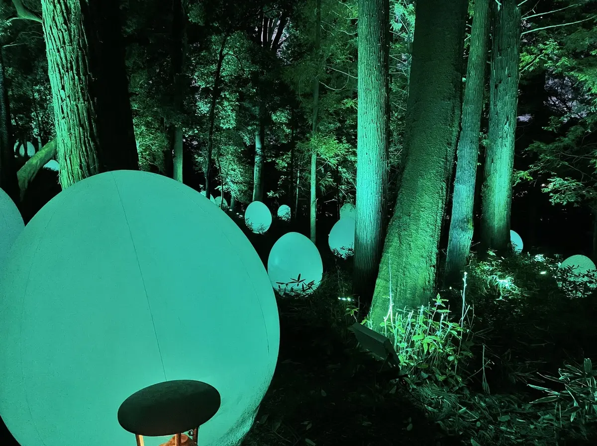 開放感いっぱいの自然空間でデジタルアートの画像_3