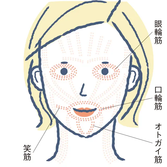 老け顔解消のポイント