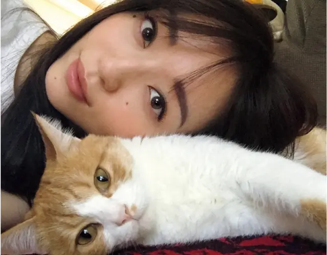 ごろりんはおなかに傷を負ってさまよっていたところを東京都動物愛護相談センターに収容された猫。 そこから保護主が引き出して治療をし、里親を募集していたのだそう