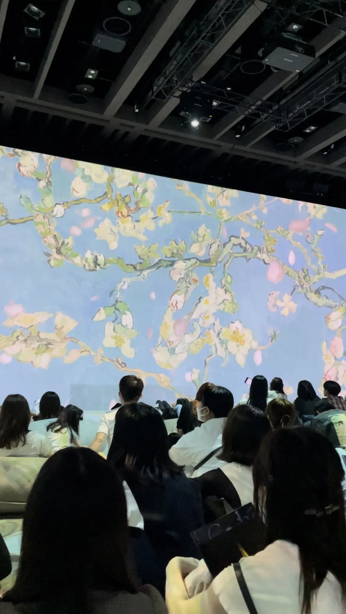 Immersive Museum TOKYO 2023、イマーシブミュージアムTOKYO 2023、ミュージアム内、映像、ゴッホ、アーモンドの花、ゴッホ、フィンセント・ファン・ゴッホ、ポスト印象派、印象派、フィンセント・ヴィレム・ファン・ゴッホ
