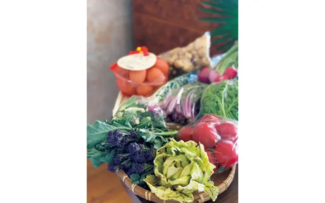 東京では考えられないほど食材の種類が豊富で価格も安い