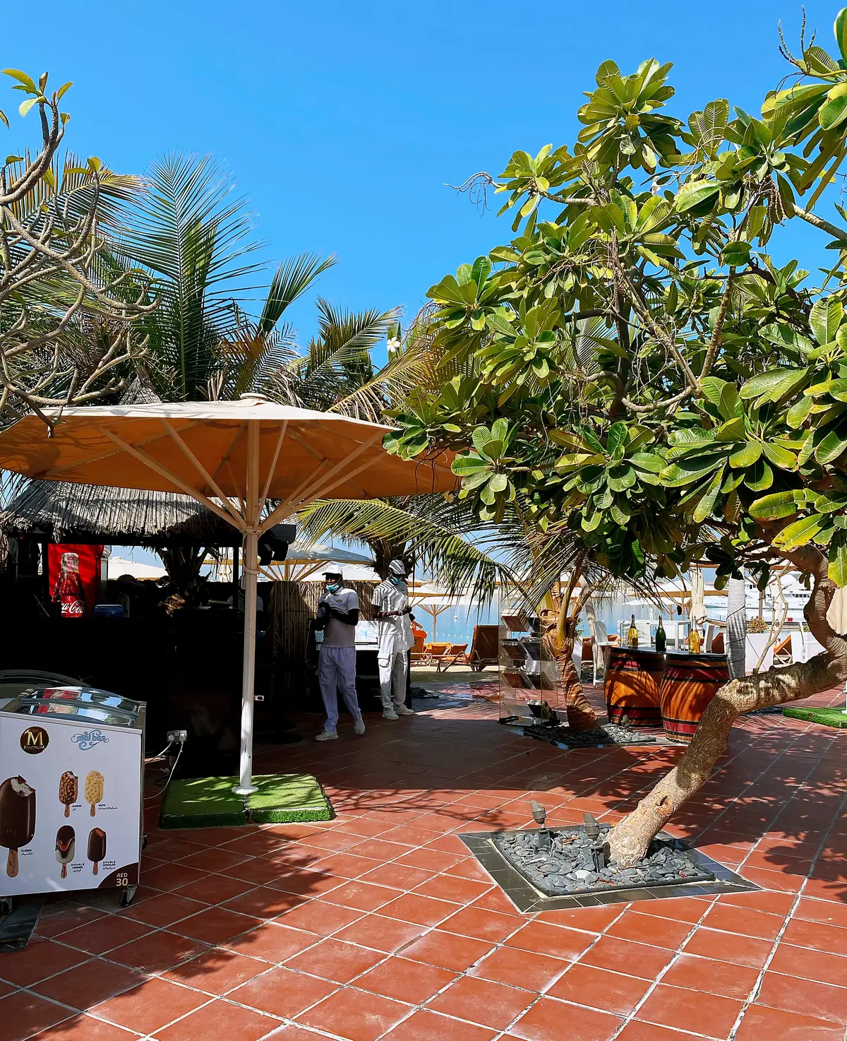 ドバイの楽園プライベートビーチ＆プール の画像_8