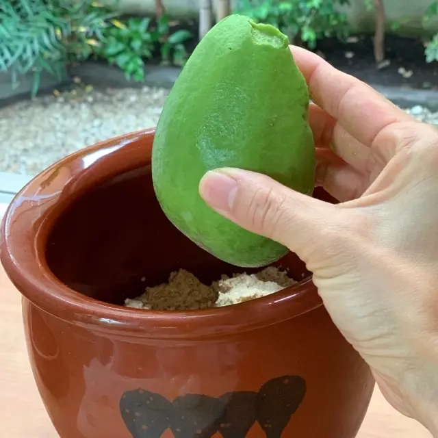 アボカドを糠床へ