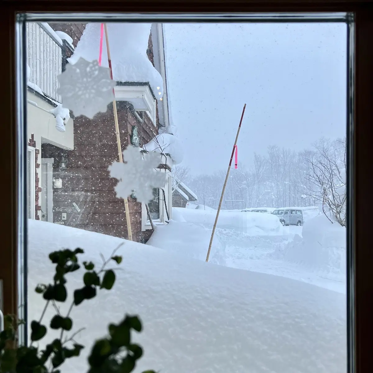ニセコのカフェ「おやつとサンドイッチのお店 グラウビュンデン」の店内から見た雪景色