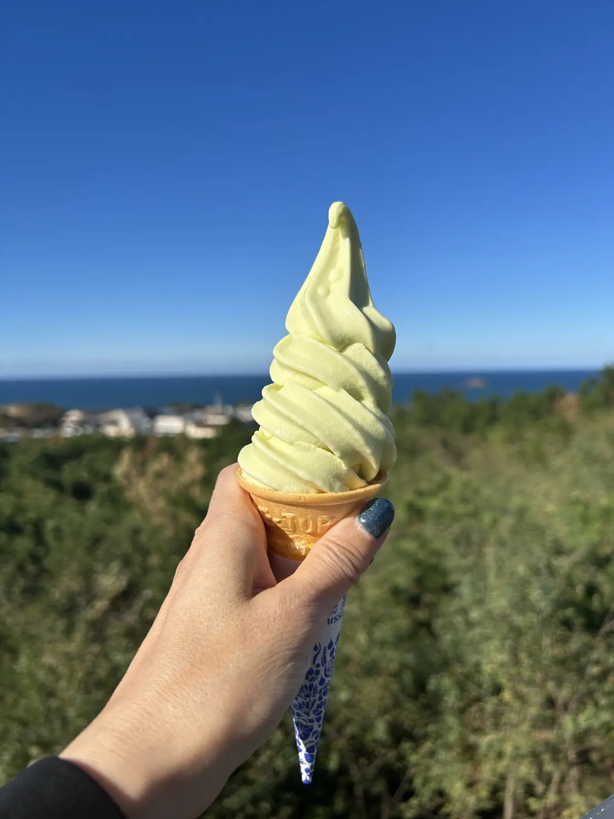 秋の遠足 -11月の鳥取でリフレッシュの画像_22