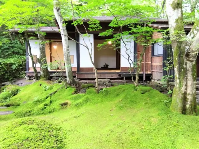 やはり軽井沢♪涼をもとめてドライブ&ランの画像_6